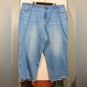 Women’s Size 22 Light Blue Relaxed Jeans
